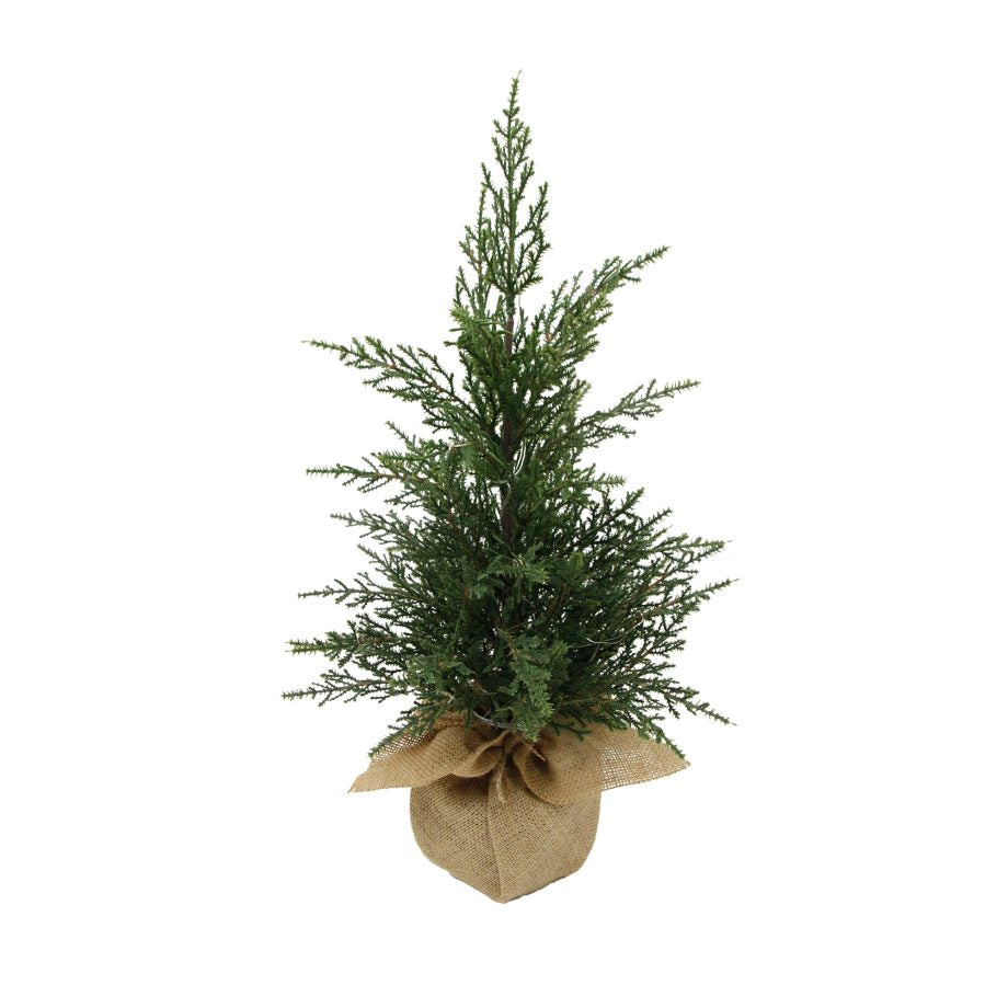 Cedar Tree 18"
